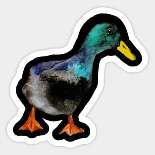 Watercolor duck Sticker